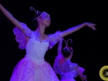 Уссурийская «Радуга танца» собрала почти полтысячи участников