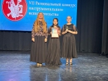 VII Региональный конкурс инструментального исполнительства
