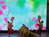 Отчётный концерт ансамбля «Непоседы» «Танцевальная палитра»